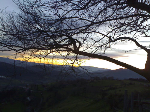 foto de atardecer a tarvés de los árboles