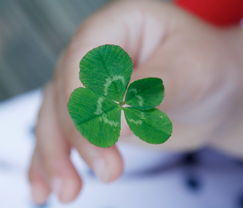 imágen de un trébol